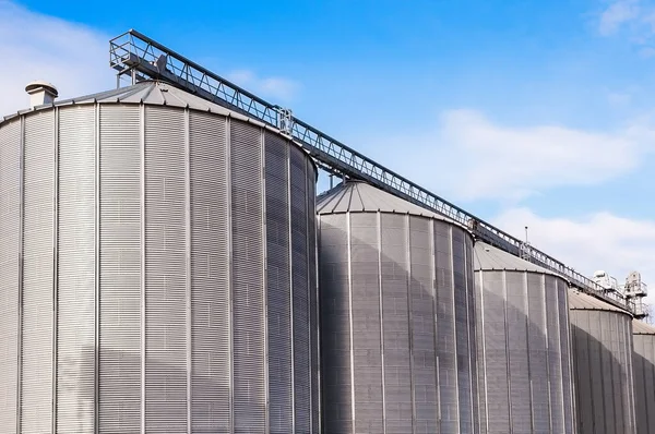 Silos Agricoli Edificio Esterno Stoccaggio Essiccazione Cereali Frumento Mais Soia — Foto Stock