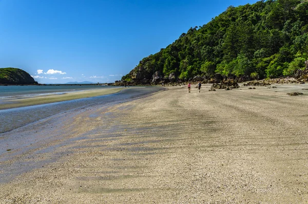 Mensen Lopen Stranden Van Kaap Hillsborough National Park — Stockfoto