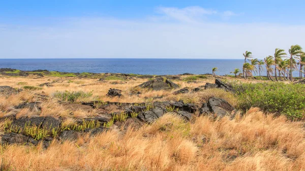 Hawaii Usa Gyárban — Stock Fotó