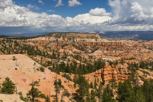 Seltsam Geformte Felsnadeln Bryce Canyon Nationalpark Utah Usa — Stock Photo, Image