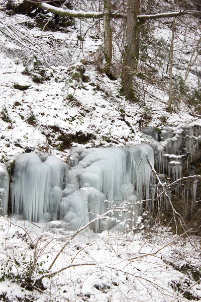 Styria Daki Ormandaki Küçük Şelalede Modifiye Edilmiş — Stok fotoğraf