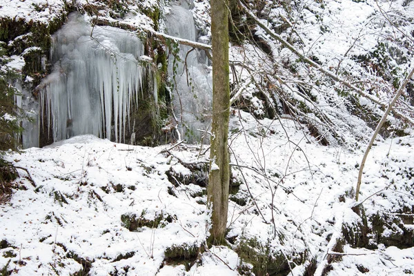 Fagyasztott Kis Vízesés Egy Erdészeti Természetvédelmi Területen Stájerországban — Stock Fotó