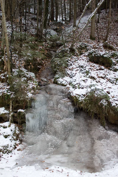 シュテリアの森林自然保護区にあるゲフロレンサーの小さな滝 — ストック写真