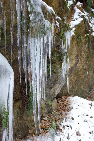 Petite Cascade Gefrohrener Dans Une Réserve Naturelle Forestière Styrie — Photo