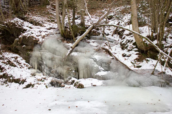 Cascada Pequeña Gefrohrener Una Reserva Natural Forestal Estiria — Foto de Stock