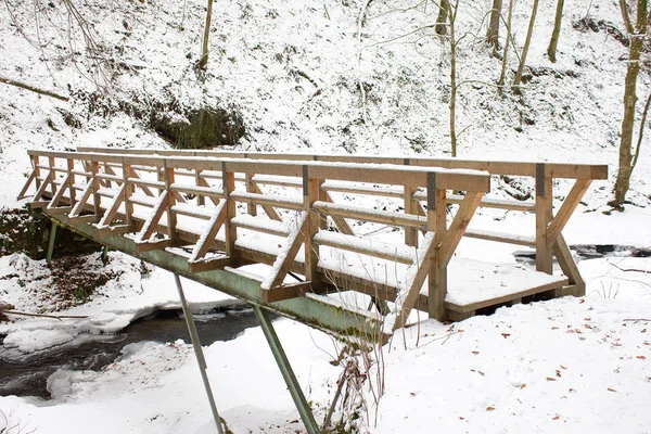 Brücke Auf Wanderweg Winter Einem Waldschutzgebiet Der Steiermark Verschneit — Stockfoto