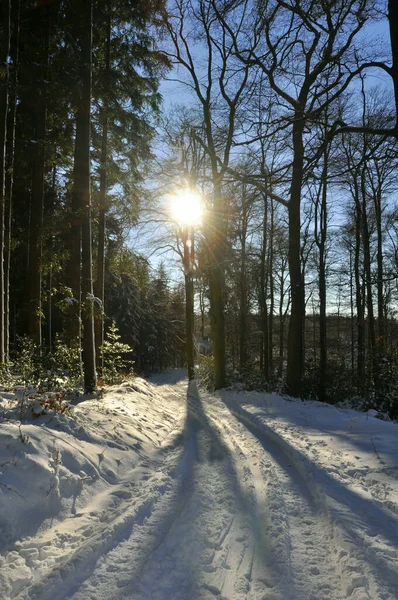 Caminhada Inverno Oberbergisches País — Fotografia de Stock