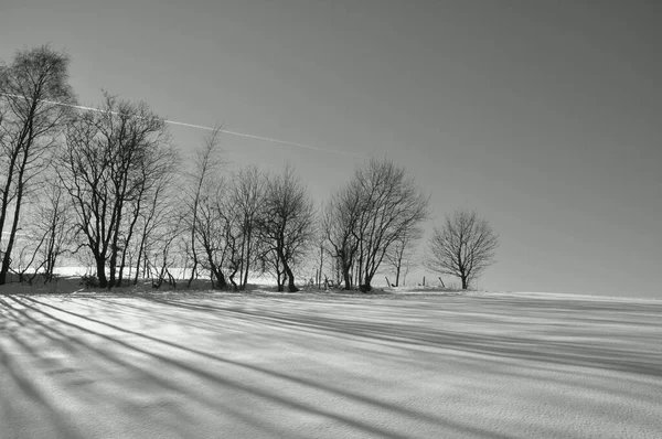 Winter Hike Oberbergischen Country — Stock Photo, Image