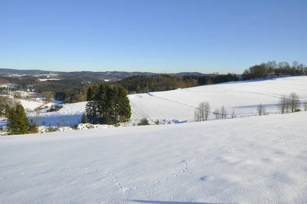 Caminhada Inverno País Oberbergischen — Fotografia de Stock