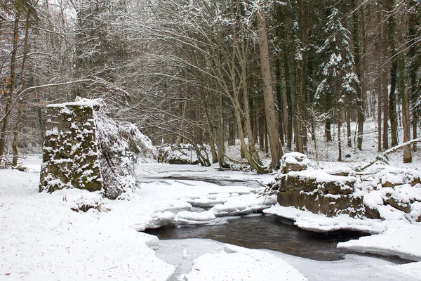 Folyó Táj Csöpögött Ősi Híd Oszlopok Télen Egy Erdő Természetvédelmi — Stock Fotó