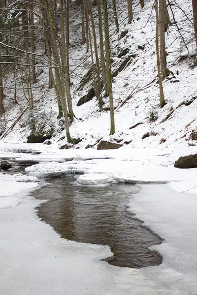 川の風景は冬は雪で凍るスティリアの森林自然保護区で — ストック写真