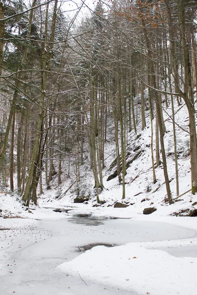 Paisagem Fluvial Regozijada Com Neve Inverno Uma Reserva Natural Florestal — Fotografia de Stock