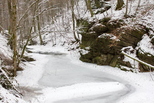 Paisagem Fluvial Regozijada Com Neve Inverno Uma Reserva Natural Florestal — Fotografia de Stock