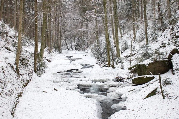 Paisagem Fluvial Regozijada Com Neve Inverno Uma Reserva Natural Florestal — Fotografia de Stock