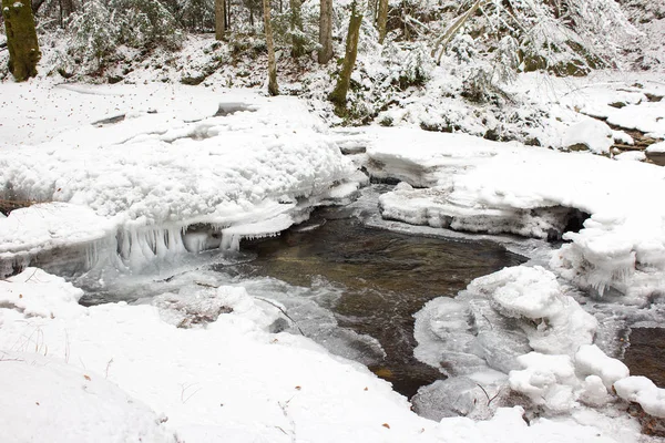 Paesaggio Fluviale Gioito Con Neve Inverno Una Riserva Naturale Foresta — Foto Stock