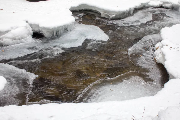 Paisagem Fluvial Regozijada Com Neve Inverno Uma Reserva Natural Florestal — Fotografia de Stock