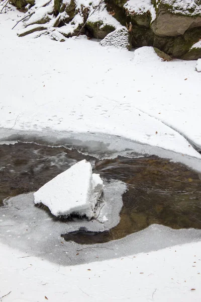 Paisagem Fluvial Regozijada Com Neve Inverno Uma Reserva Natural Florestal — Fotografia de Stock