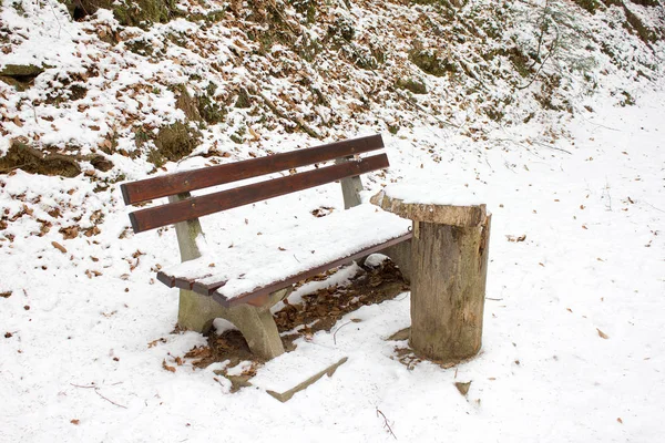 Banco Inverno Coberto Neve Uma Reserva Natural Florestal Styria — Fotografia de Stock