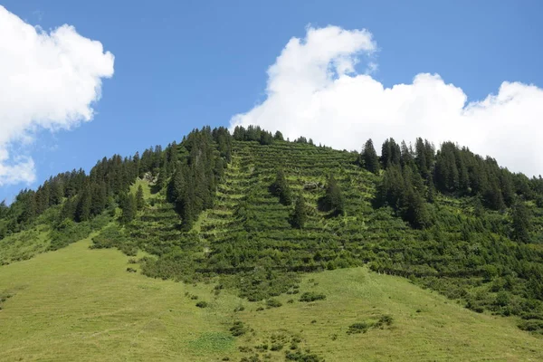 Protezione Contro Valanghe Protezione Cautela Prevenzione Montagne Montagne Alpi Recinzione — Foto Stock