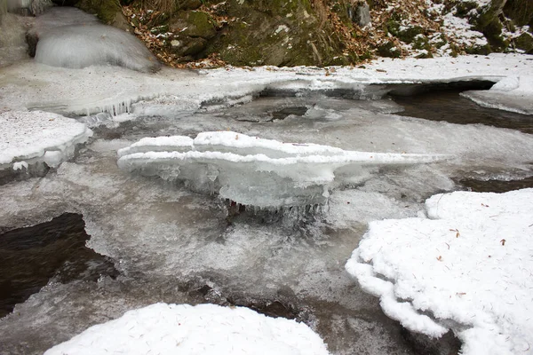 아산의 구역에서 겨울에 내리는 바라보는 — 스톡 사진