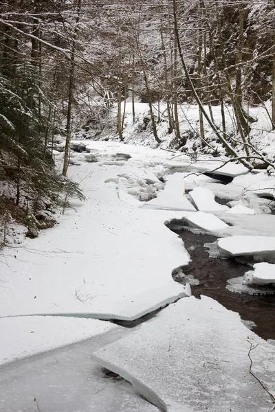 Paysage Fluvial Arrosé Neige Hiver Dans Une Réserve Naturelle Forestière — Photo