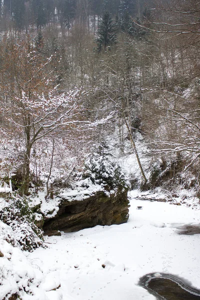 Paesaggio Fluviale Ghiacciato Dalla Neve Inverno Una Riserva Naturale Forestale — Foto Stock