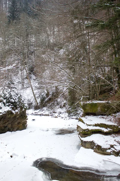 Paisagem Fluvial Regozijada Com Neve Inverno Uma Reserva Natural Florestal — Fotografia de Stock