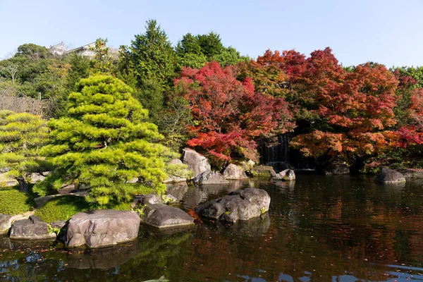 Herfst Tuin Japan — Stockfoto