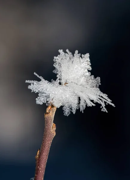 Hoarfrost Όμορφους Κρυστάλλους Που Λαμβάνονται Κοντινό Πλάνο Φακό Macro — Φωτογραφία Αρχείου