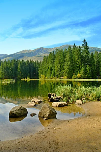 Vrbické Pleso Vrbické Horské Jezero Nízké Tatry Slovensko — Stock fotografie