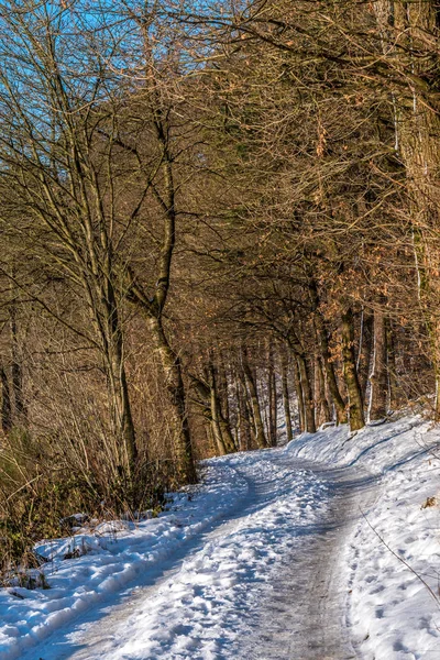 Paysage Hivernal Avec Neige Allemagne Centrale — Photo