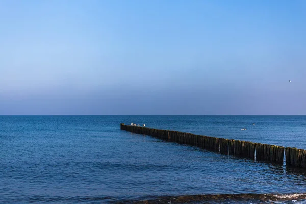 Widok Plażę Morza Bałtyckiego — Zdjęcie stockowe