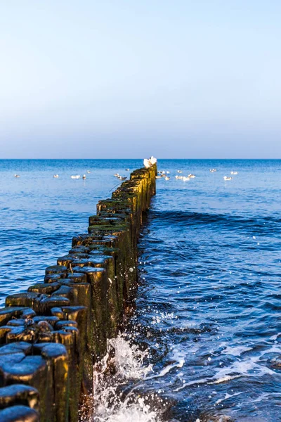 Красивый Вид Пляж Балтийского Моря — стоковое фото