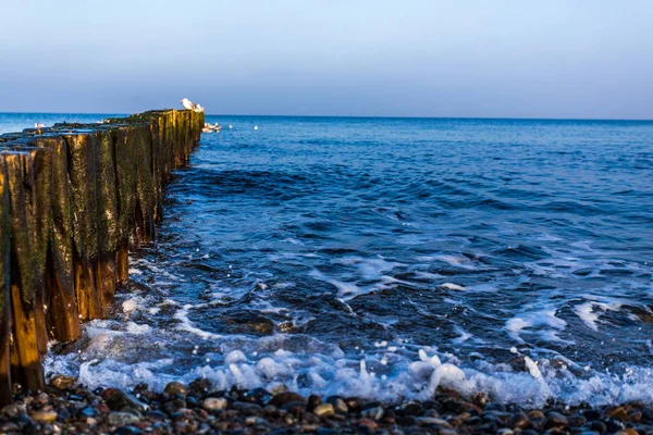 Vista Panoramica Sulla Spiaggia Del Mar Baltico — Foto Stock