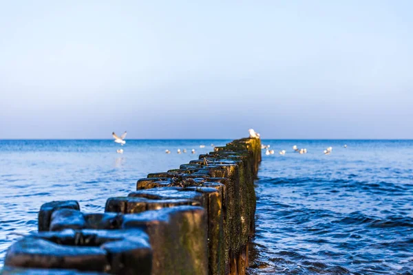 Красивый Вид Пляж Балтийского Моря — стоковое фото