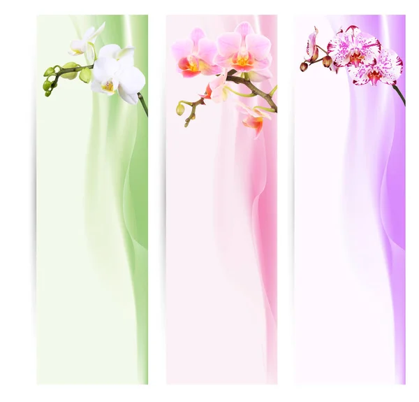 Banners Marcadores Con Orquídeas —  Fotos de Stock