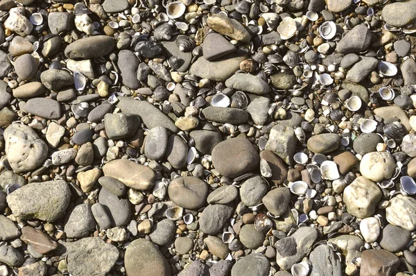 Stenar Marken — Stockfoto