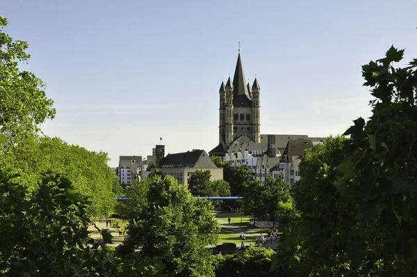 Church Martin Old Town Cologne — стоковое фото