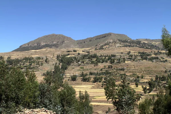 Campos Cereais Paisagens Etiópia — Fotografia de Stock