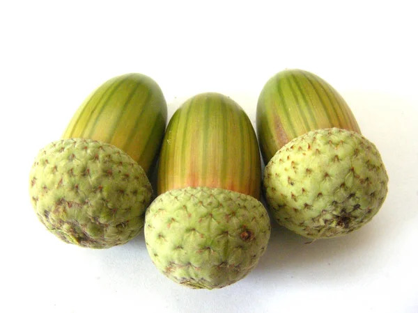 Groen Wit Fruit Van Dode Boom — Stockfoto