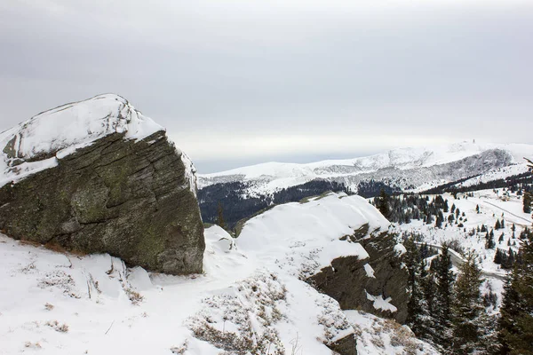 雪の降る冬にはスタイリアの高山ワイン平野で — ストック写真