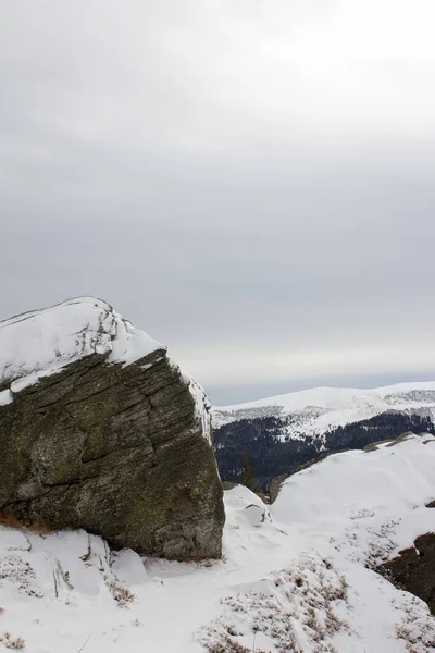 Rocks Snow Winter Alpine Wine Plain Styria — Stock Photo, Image