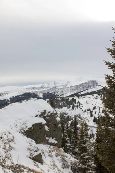 Rots Met Sneeuw Winter Een Alpenweide Stiermarken — Stockfoto