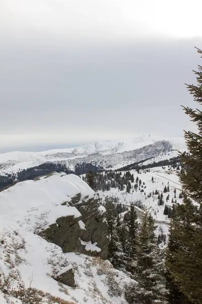 雪の降る冬にはスタイリアの高山草原で — ストック写真