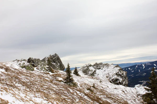 Rochas Com Neve Inverno Uma Planície Vinho Alpino Estiria — Fotografia de Stock