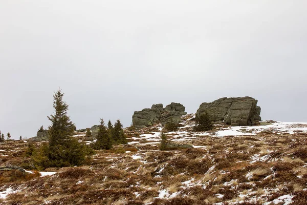 Skály Sněhem Zimě Alpské Vinné Pláni Styrii — Stock fotografie