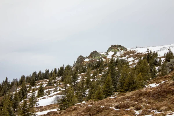 Rocas Con Nieve Invierno Pasto Weinebene Estiria — Foto de Stock