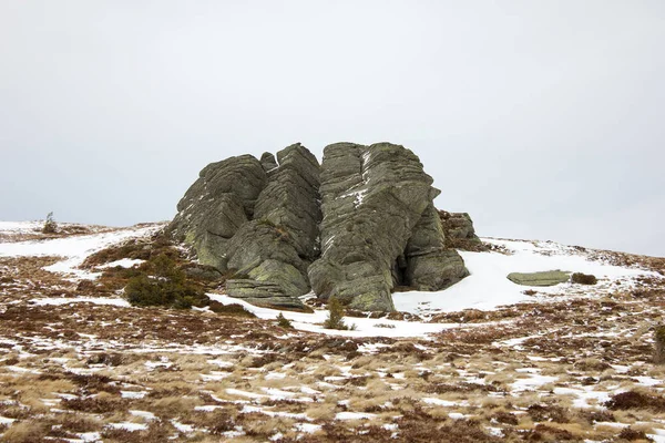 Камни Снегом Зимой Винограднике Стирии — стоковое фото