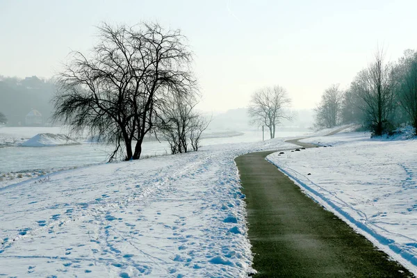 Bike Path Elbe River Meissen Winter — Stock Photo, Image