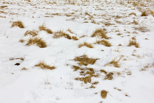 Brun Äng Med Snö Fäbod Vintern Styrien Vinnivå 1666 — Stockfoto